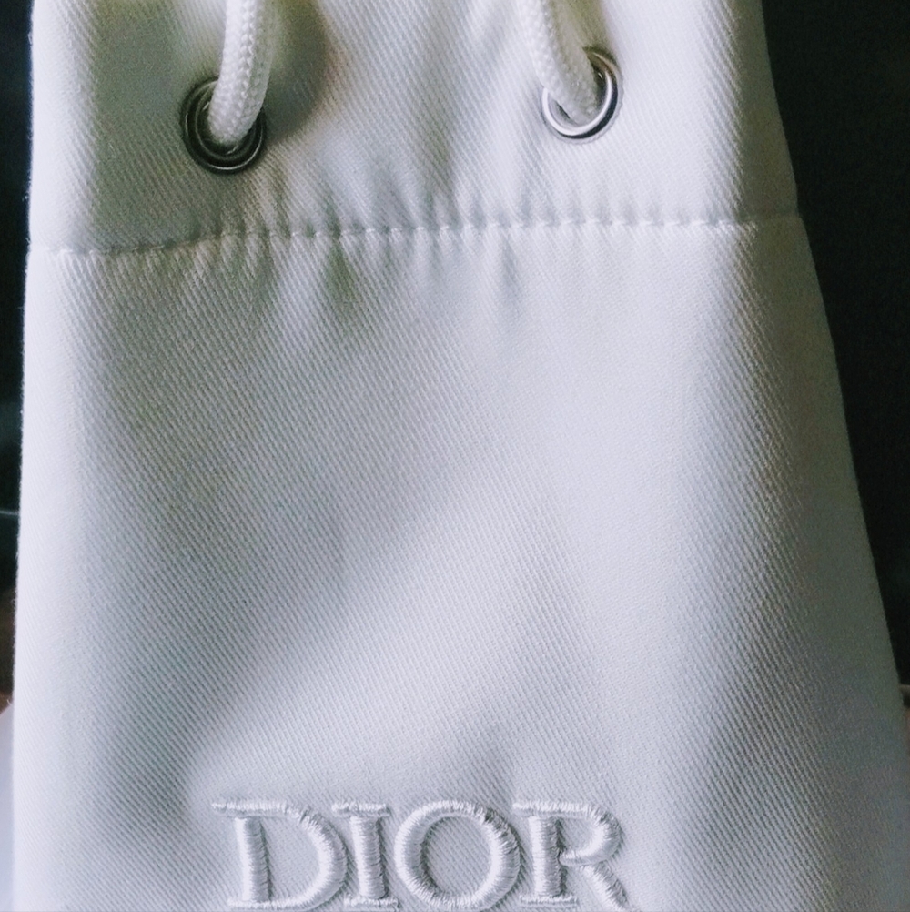 Dior Pouch And Black Quilted Crossbody Bag - Picture 6 of 10